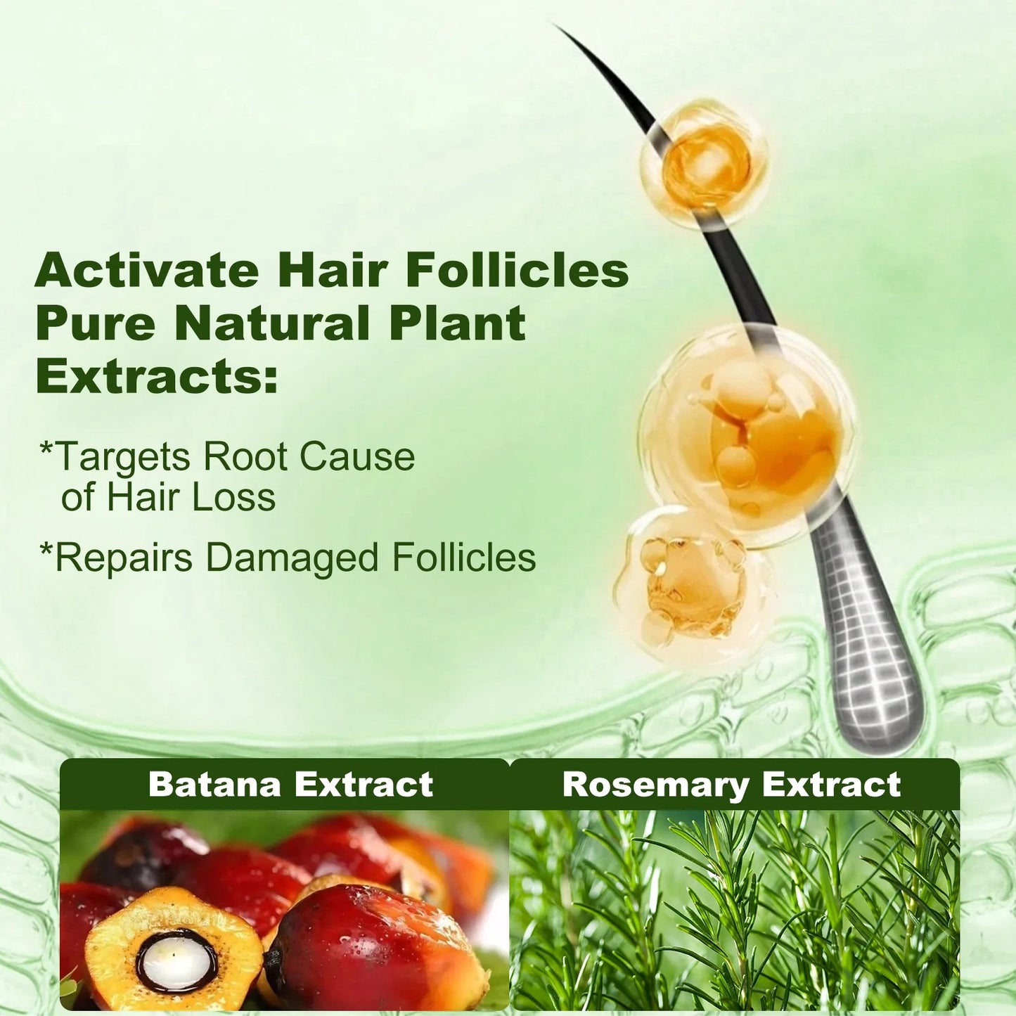 Tgideas® Batana Oil & Rosemary Volumizing Shampoo (Pack of 1)